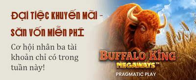 Đỉnh cao giải trí trực tuyến banner image